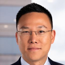 Albert Alikin, Partner