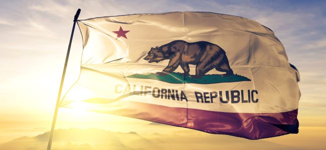 california flag; CA