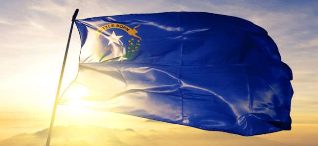 nevada state flag