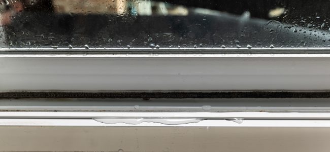 water; water damage; windows; leaking; construction; water intrusion