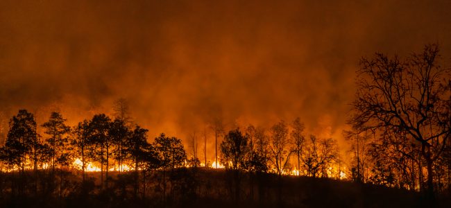 fire; wildfire; California; CA; smoke; pollution