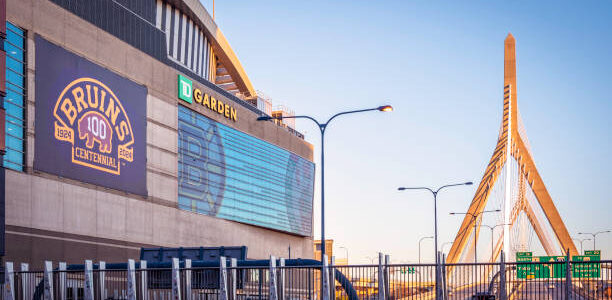 td garden